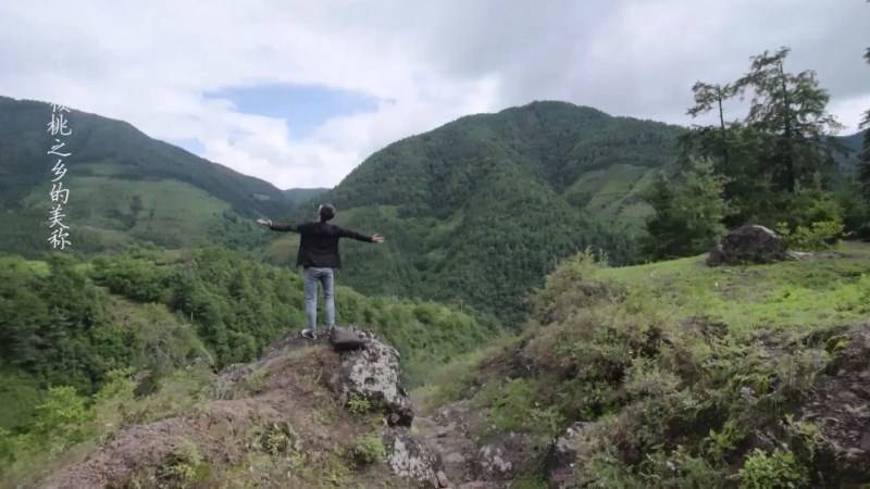 1504948174624175.jpg TIM截圖20170909140940.jpg