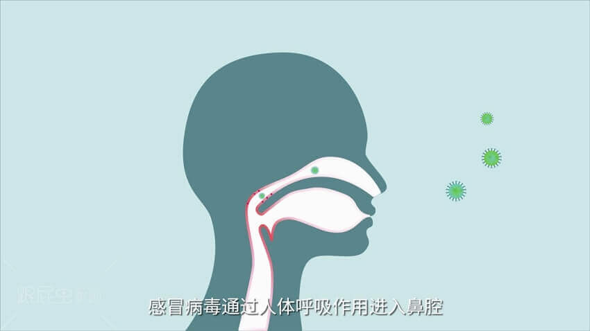 1565860516305611.jpg 3.jpg