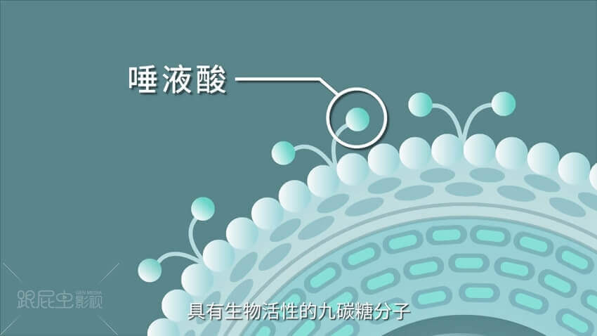 1565860585496586.jpg 1.jpg