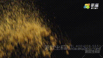 1572846119939986.gif 1567754713215244.gif