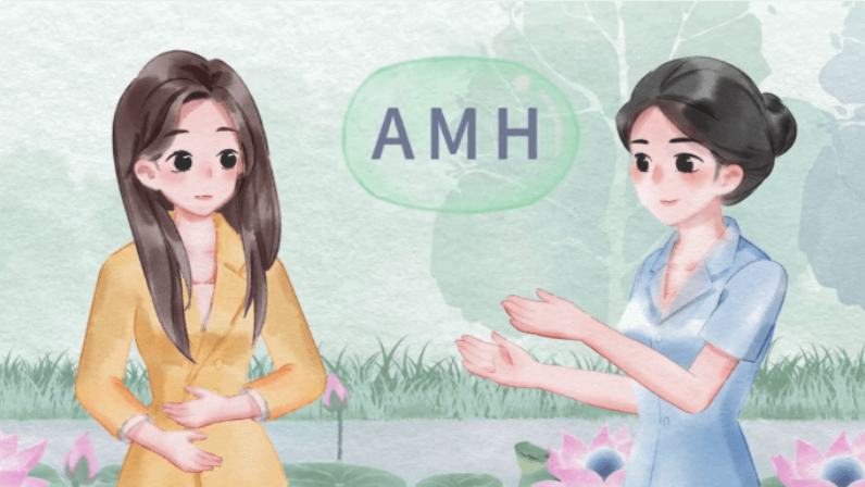 安圖生物：AMH檢測(cè)（水彩風(fēng)）